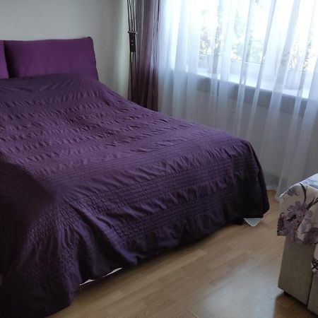 Astra City Centre Apartment Tallinn Dış mekan fotoğraf